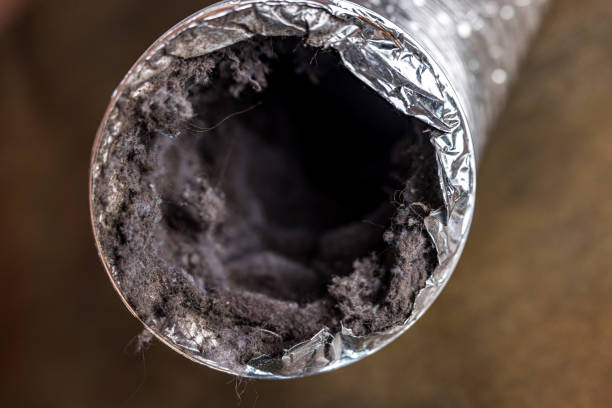 Best Air Duct Cleaning Near Me  in Edenton, NC