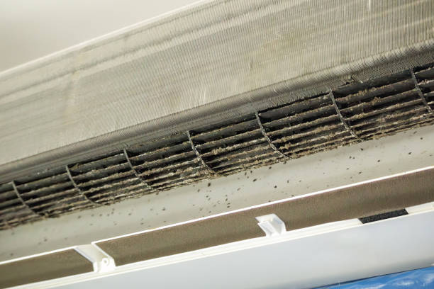 Best Ventilation Cleaning Services  in Edenton, NC